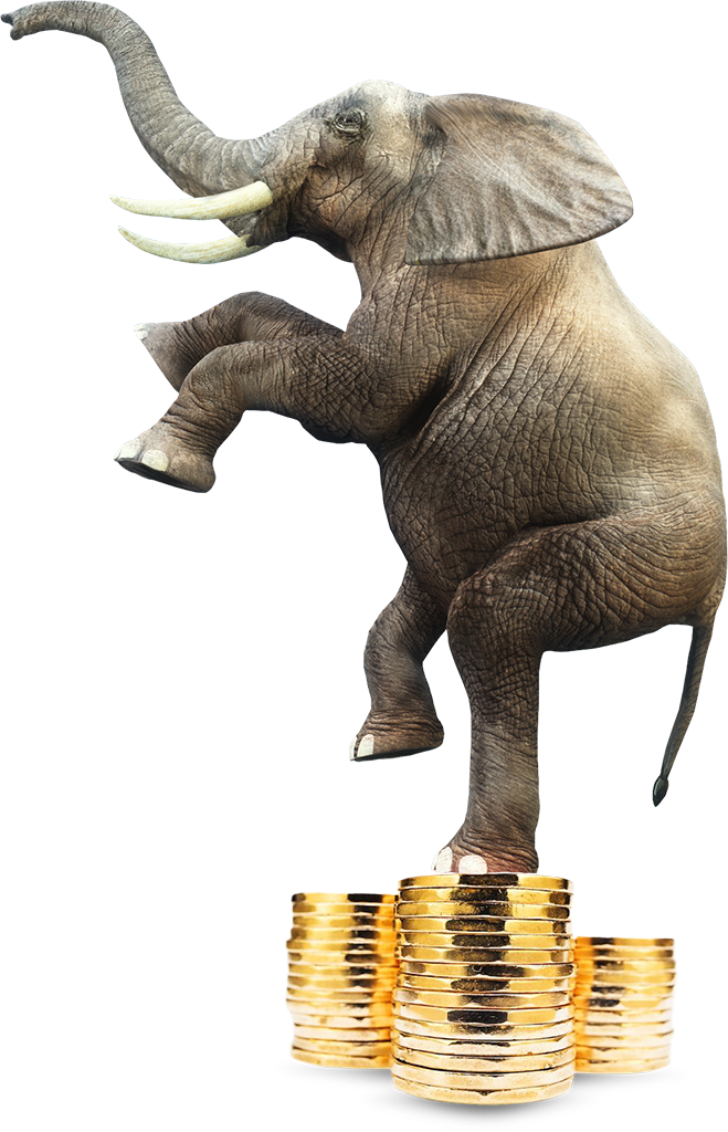 Elephant standing on a pile of coins
